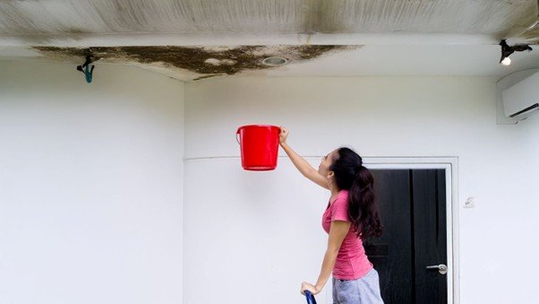 Leaky Roof in a Council Property? You May Be Owed Compensation